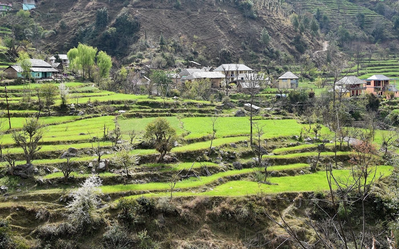 A village wheat mandi in Himachal Pradesh — productivity, storage and fair prices sit at the heart of the new scheme.