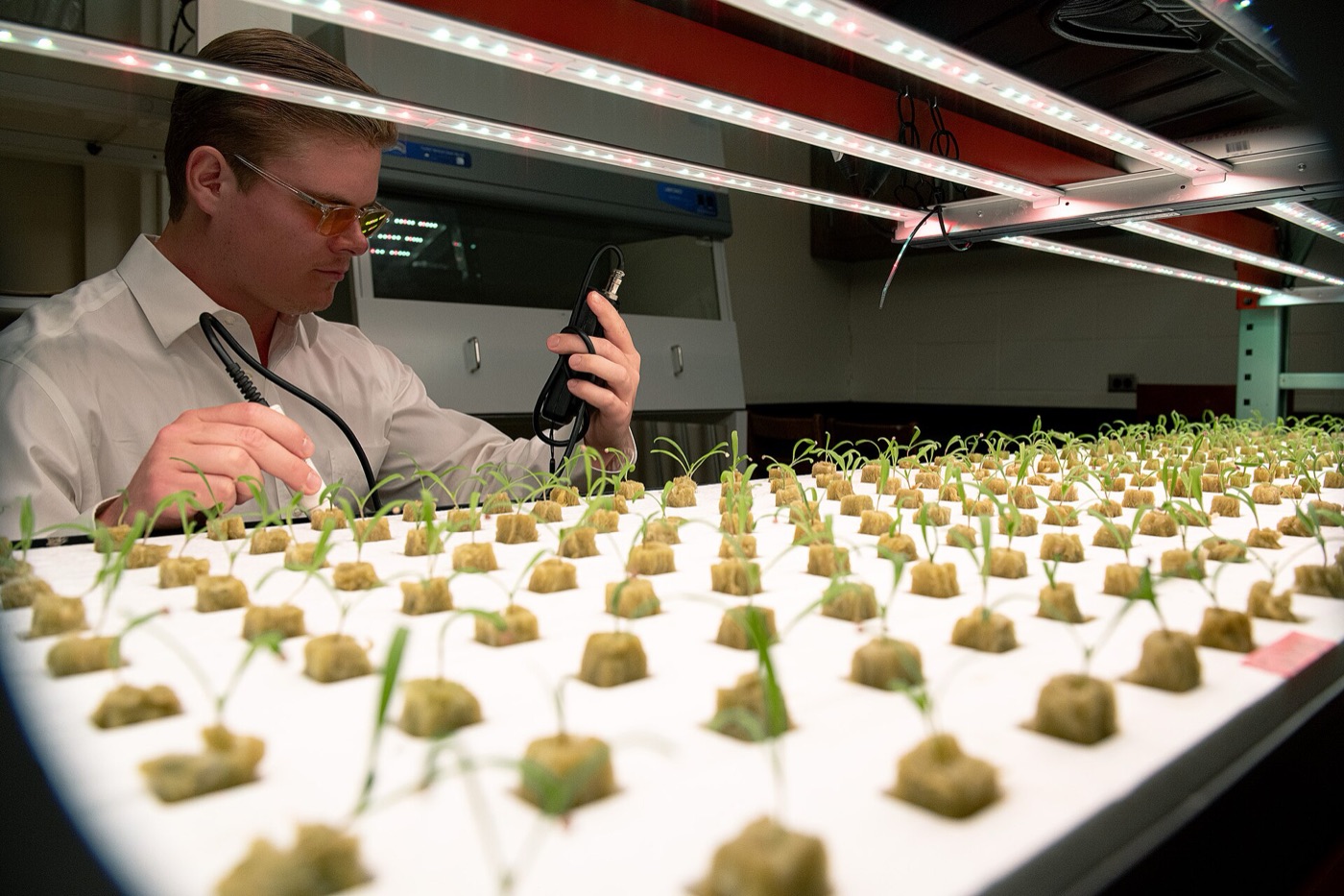 Crops grown in stacked layers under controlled light — the core idea of vertical farming.