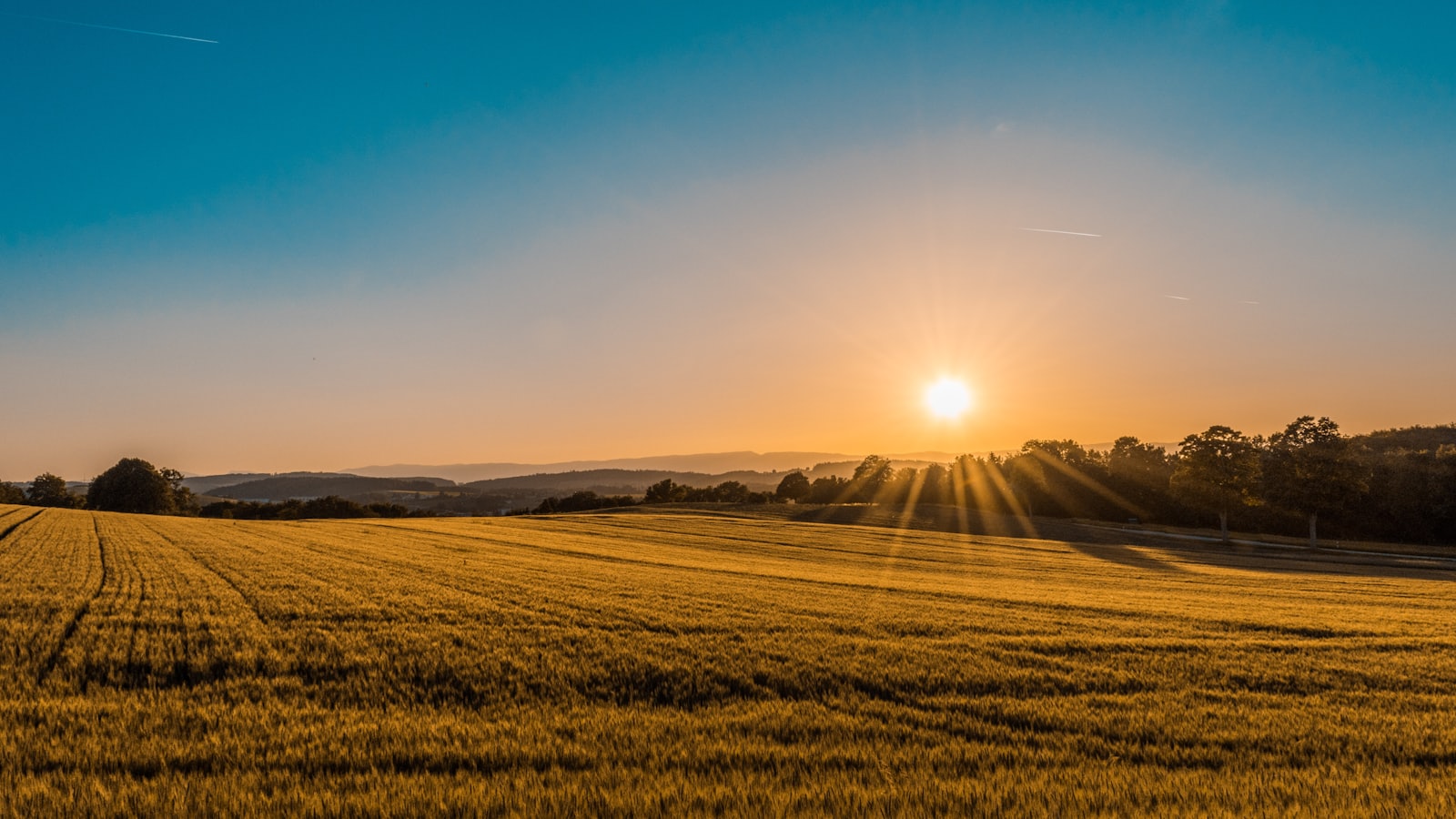 Every hard season can turn toward a new morning — no farmer should face it alone.