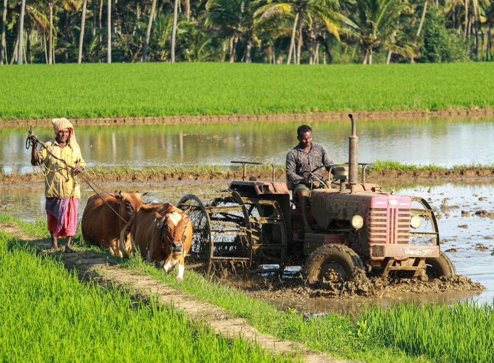 Reaching farming families in distress works best as a partnership.